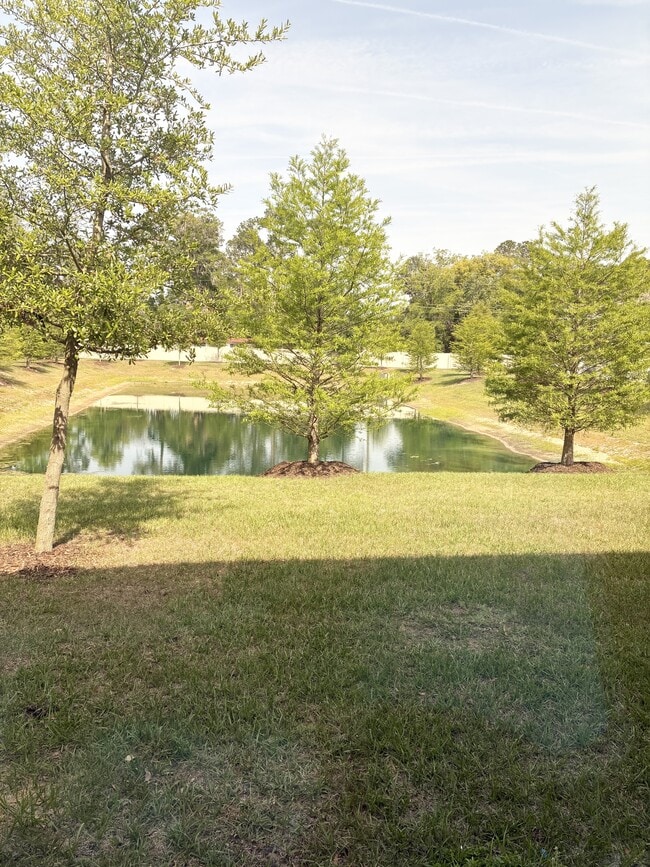 Photo - 5983 Ortega Lk Dr