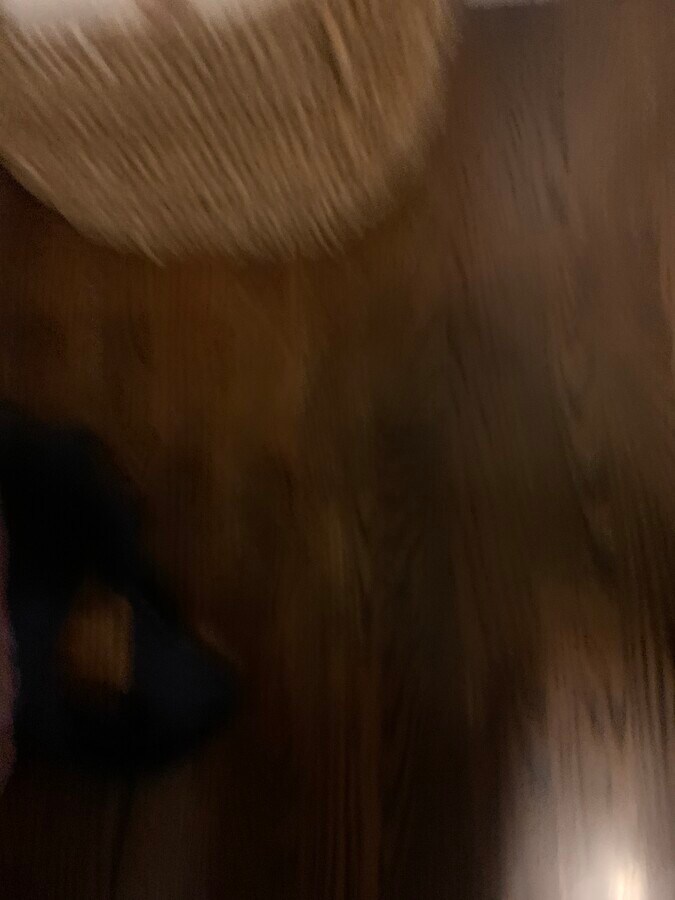 Photo - 7372 Hazelcrest Dr