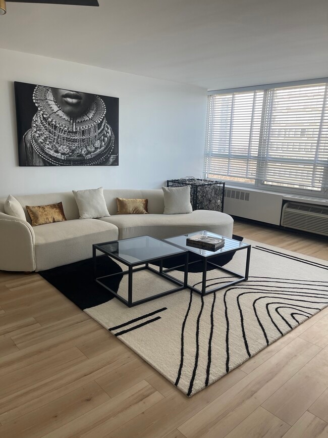 Building Photo - 4800 S Chicago Beach Dr Unit FURNISHED--On the Lake