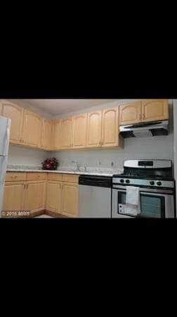 Newly updated kitchen with new appliances! - 876 College Pkwy Unit 102