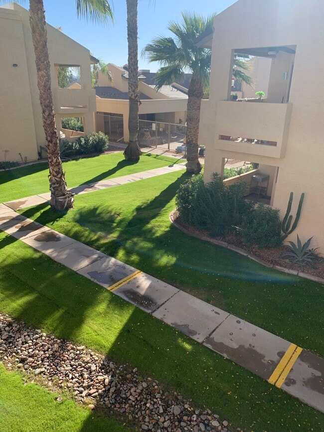 View from balcony - 145 N 74th St Unit Sun Valley Casitas