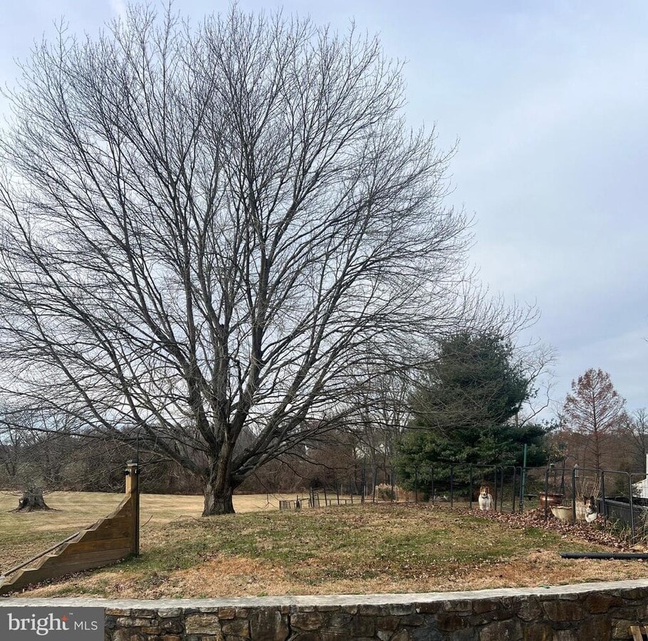 Photo - 490 Birmingham Rd