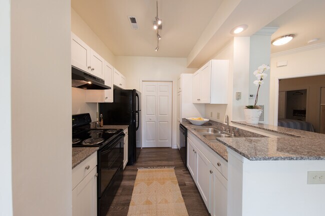 42 Magnolia - 42 Magnolia + 5000 Forest