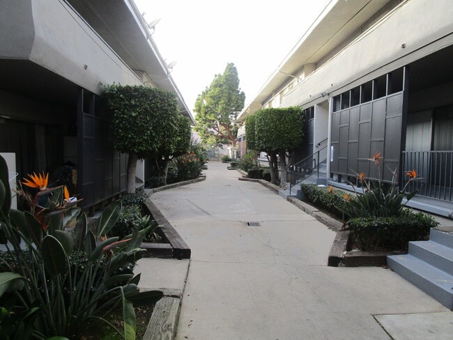 Photo - Venice Dreams