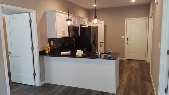 Building Photo - 2 bedroom 2 bath Luxury Apartment Branson ... Unit D
