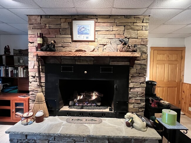 Gas logs with blower keeps it toasty! - 971 Riverwind Rd Apartamentos Unidad Moose Lodge