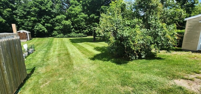 Back yard - 67 Maple St Unit 67A