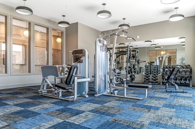 Weight Room - Fitness Center - The Falls at Pike Creek Apartments