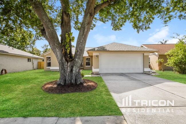 Photo - 1007 Black Willow Dr House