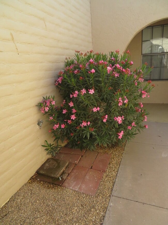 Photo - 2 Bedroom 2 Bath Townhouse Available for Rent