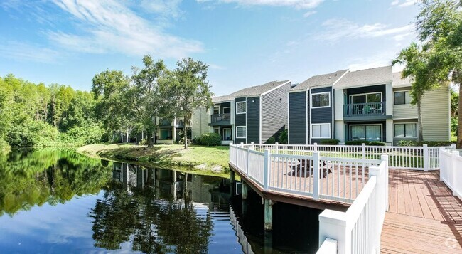 Building Photo - The Pointe at Carrollwood Rental