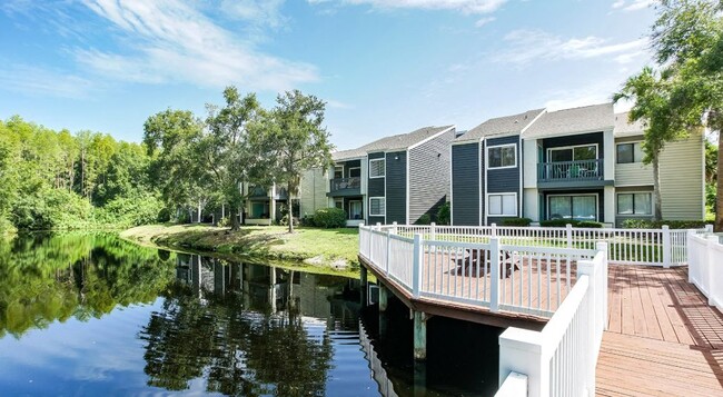 Photo - The Pointe at Carrollwood Apartments