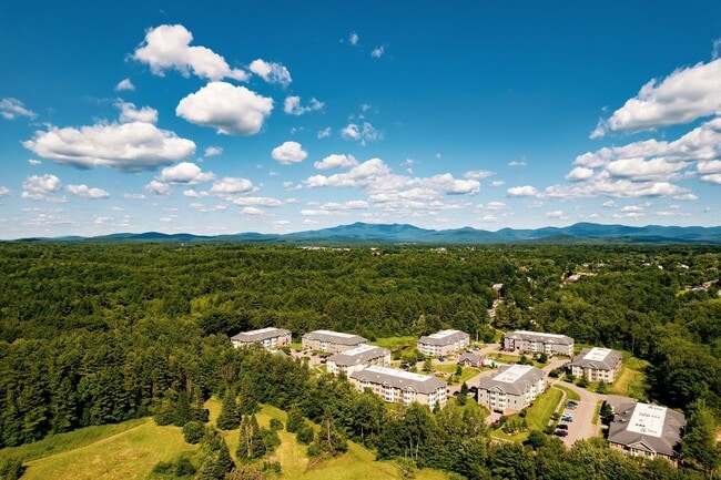Photo - One Bed/One Bath with Wooded View Unit 206 (Bldg 382)