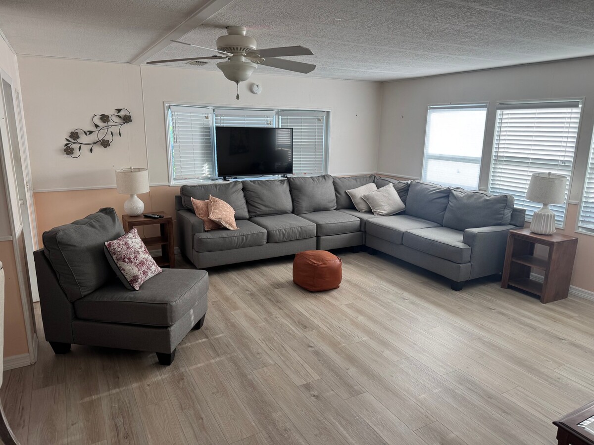 Photo - 469 Needle Palm