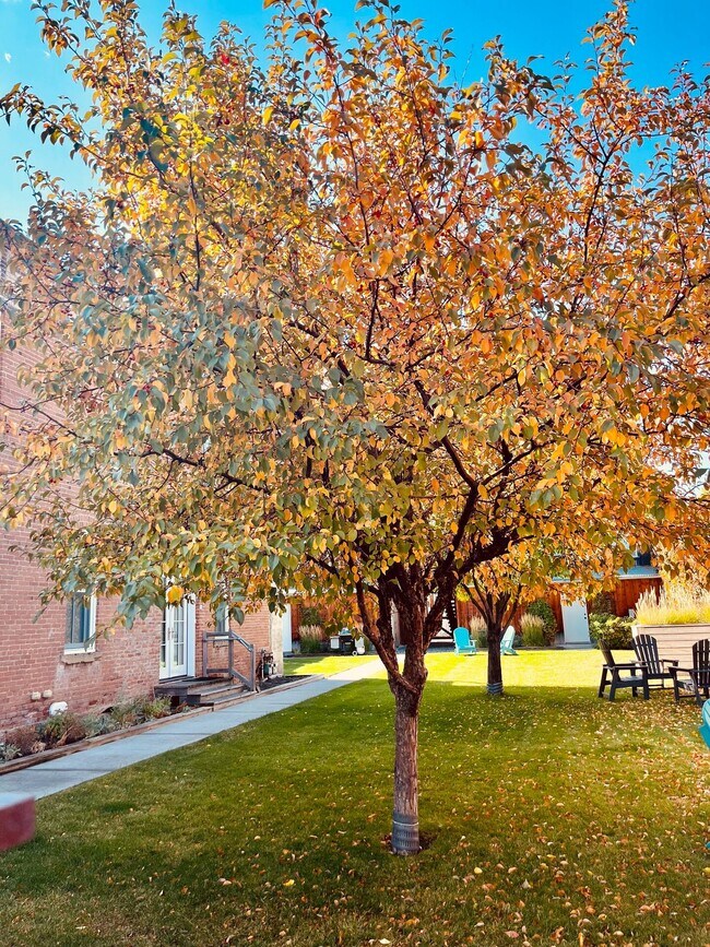 Photo - 214 S 2nd St