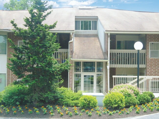 Spring Valley