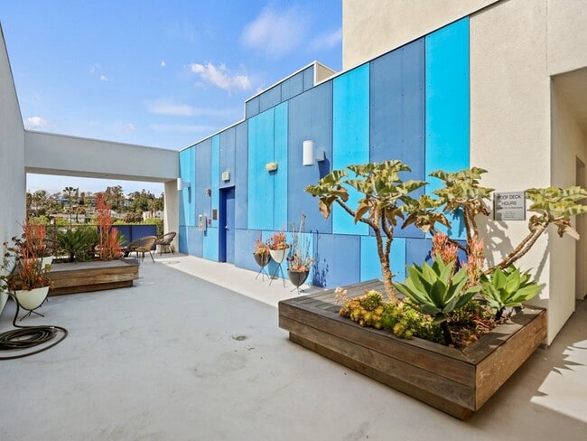 Palms Blue by Wiseman