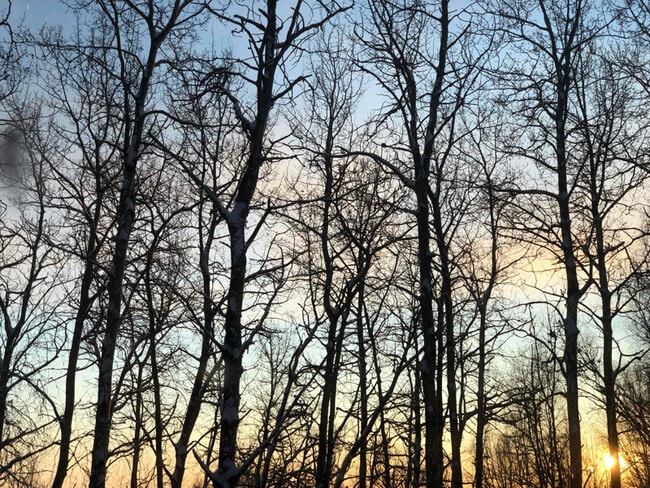 Photo - 264 Hawk Rd Unit 2