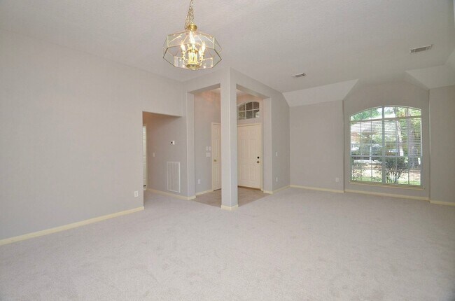 43 S Lace Arbor Dr