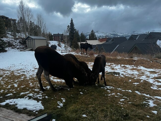 Photo - 303 Overlook Dr Unit 1A