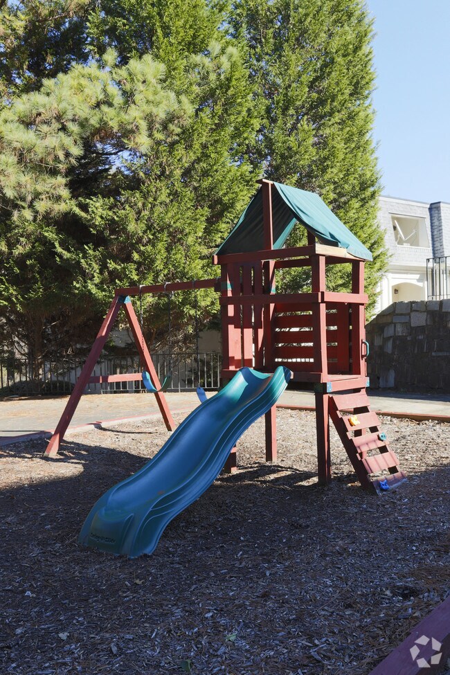 Photo - Northern Pines