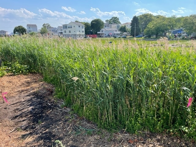 Rear View - 20 Gill St Unit B 1st Floor