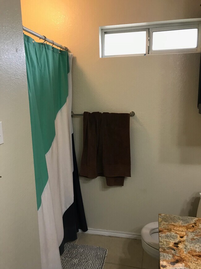 Ducha del baño principal. - 1801 Lexington Circle