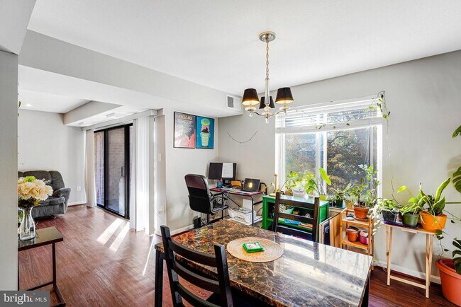 Photo - 9743 Kings Crown Ct Unit 202