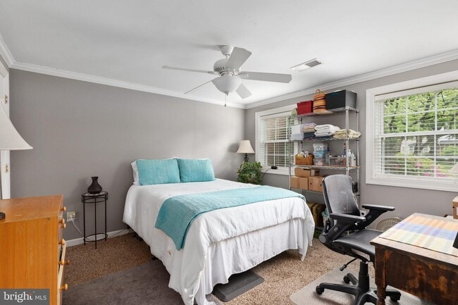 Building Photo - 4133 Novar Dr Unit LL Suite Rental