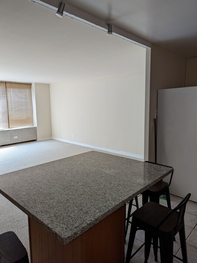 Photo - 3930 N Pine Grove Ave Condo Unit #1704