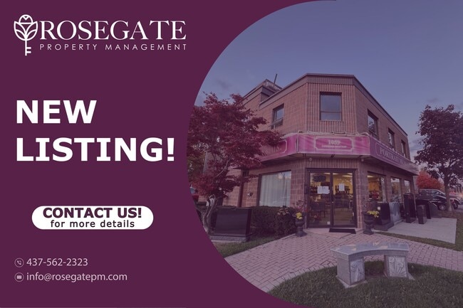 Building Photo - Spacious Open-Concept Studio Basement Apar... Unit 2