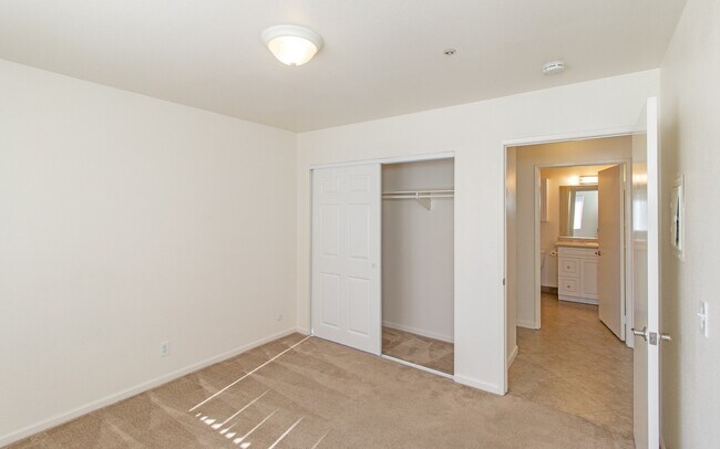 Parkstone Vista