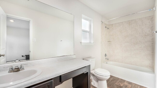 Photo - 206 Moscovy Duck