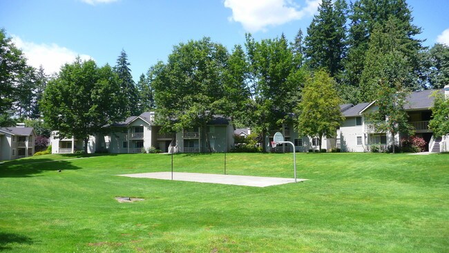Basketball court