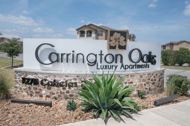 Photo - Carrington Oaks