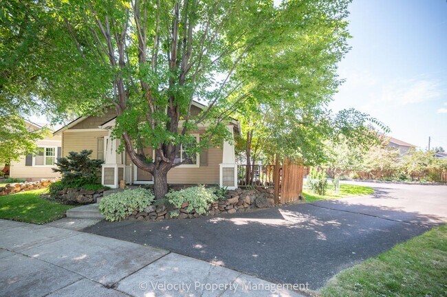 Photo - M511 Apartment Unit #1