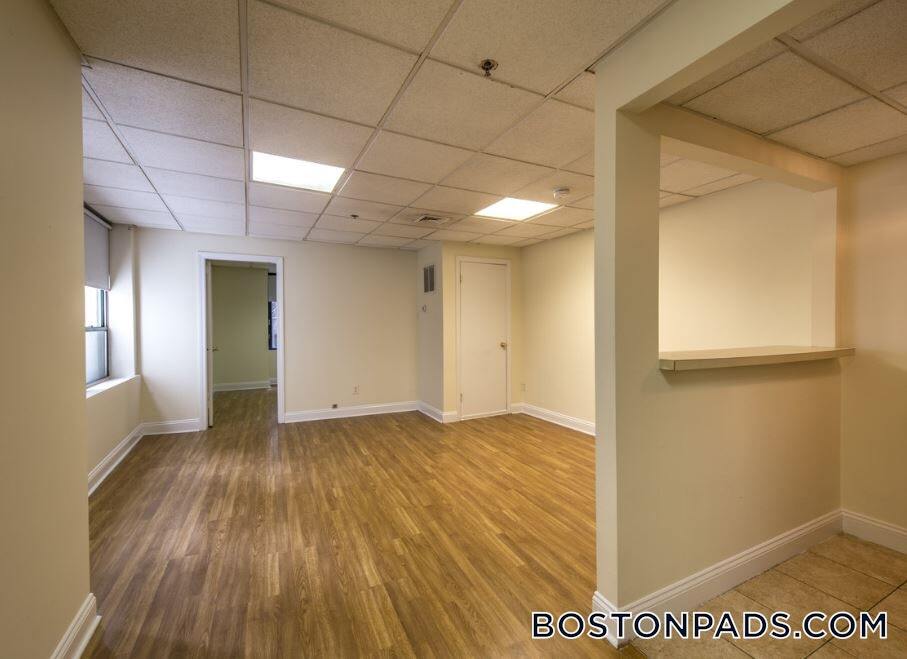 Photo - 62 Boylston St Apartment Unit 316