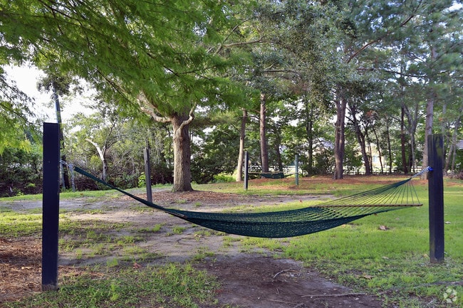 Relaxing Hammock Park