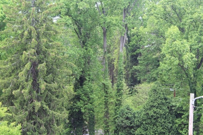 Photo - 102 Terrace Ct