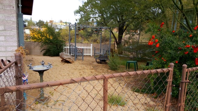 Gated side yard - 319 E Bailey St