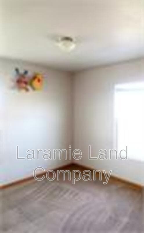 Photo - 529 Mitchell St
