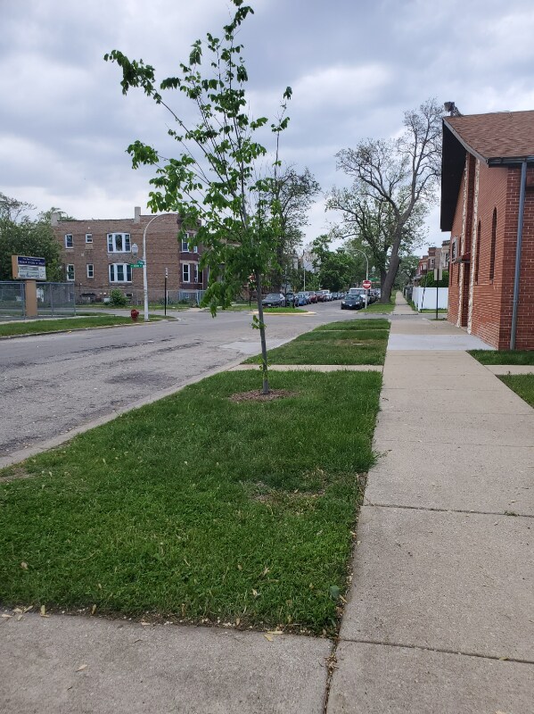 6509 S Paulina St Unit 2nd Floor