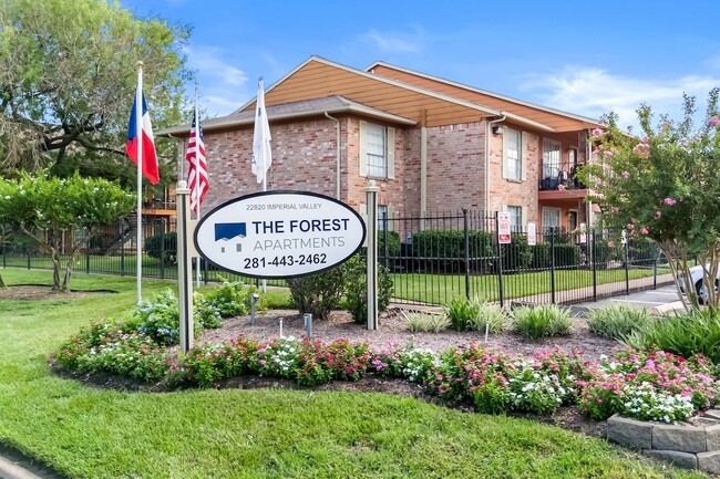 The Forest Apartments - The Forest Apartments