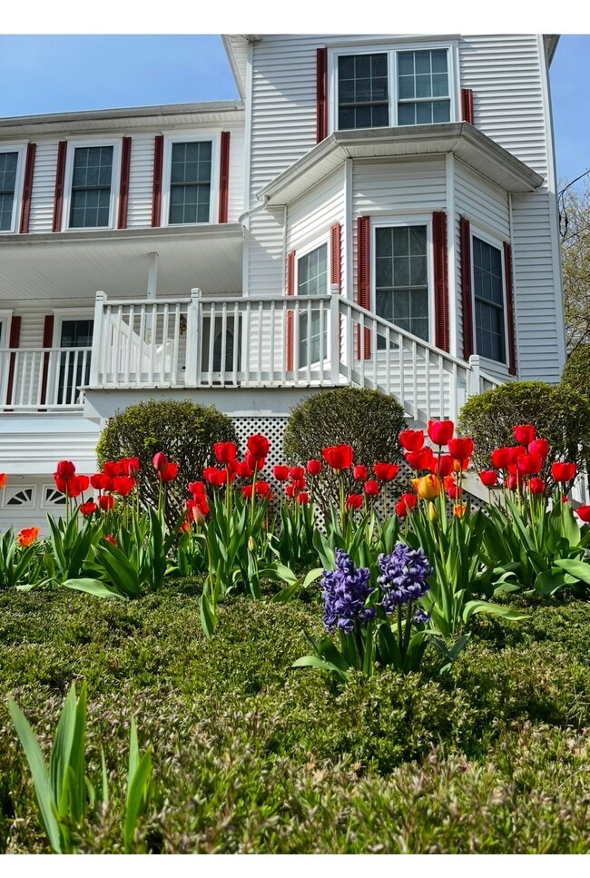 39 Smith St