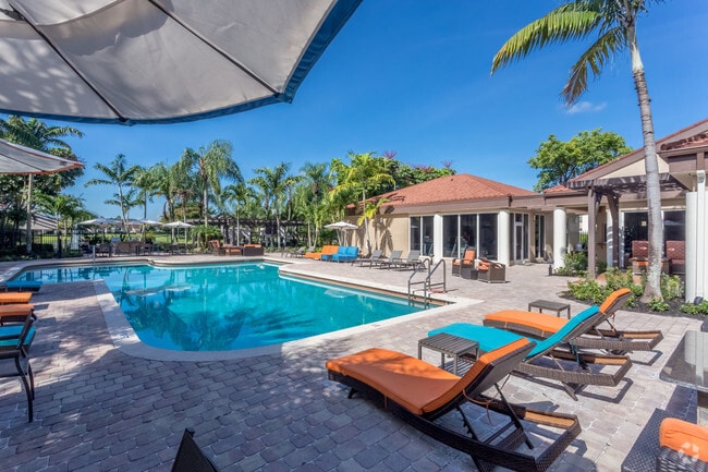 Pool - Centro at Davie Apartments