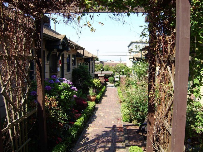 Photo - Summit Terrace