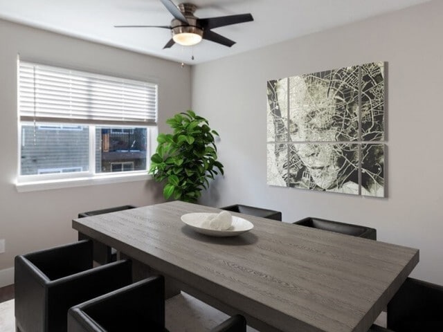 Dining Areas
