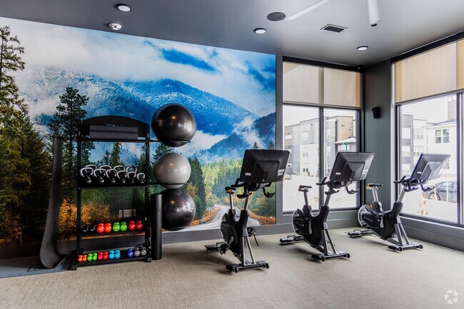 Cycle Room