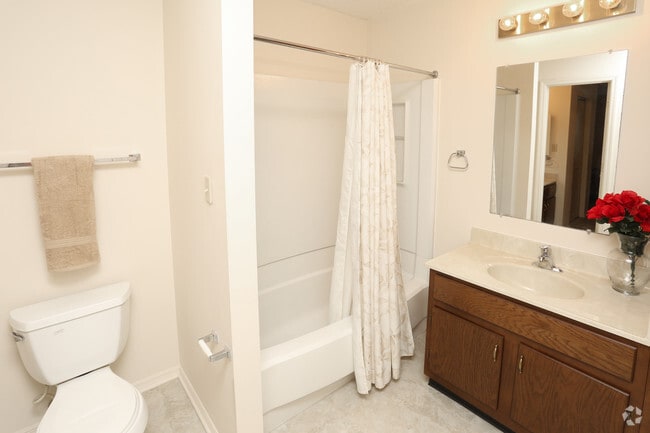 1BR, 1BA 800 SF - Bathroom