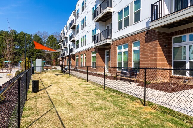Bark Park - Altitude Raleigh Apartments